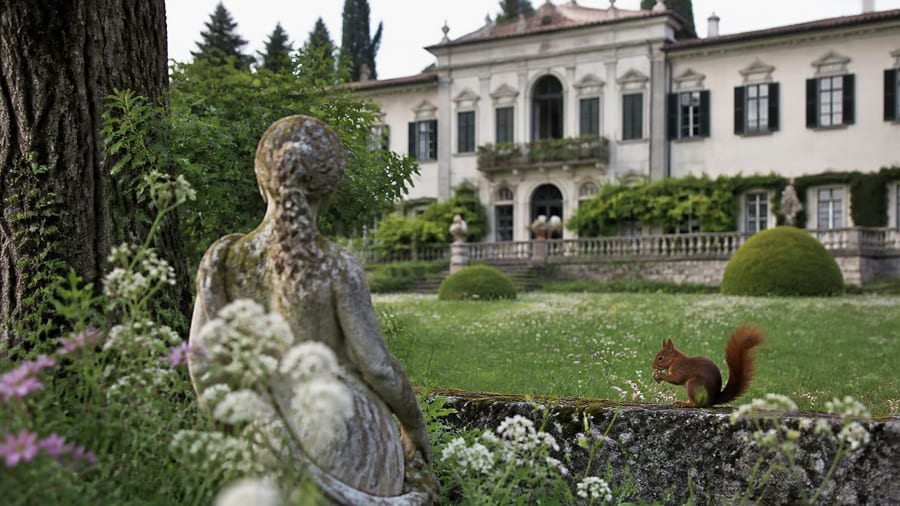 Scoiattoli, api, uccelli: la biodiversità protagonista nei Beni del Fai. Camminate nella natura per scoprirla