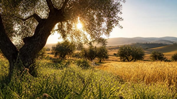 Oltre il Superuomo: la poesia di D'Annunzio che celebra l'intensità del presente