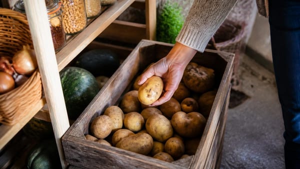 Possono durare mesi: come conservare le patate per lungo tempo